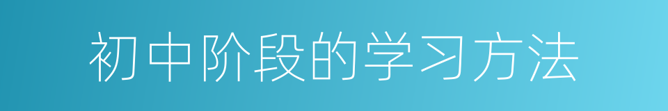 初中阶段的学习方法的同义词