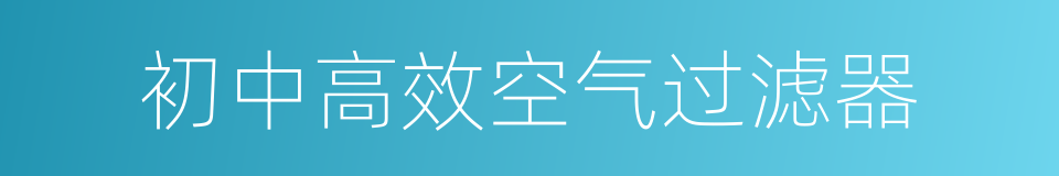 初中高效空气过滤器的同义词