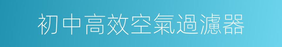 初中高效空氣過濾器的同義詞