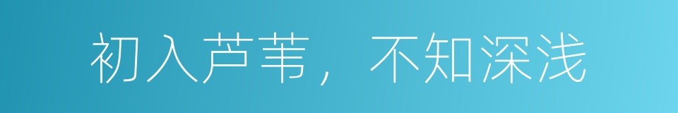 初入芦苇，不知深浅的意思