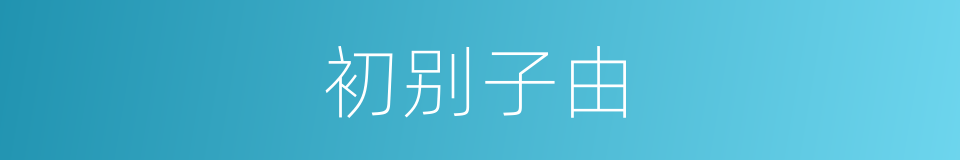 初别子由的同义词