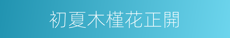 初夏木槿花正開的同義詞