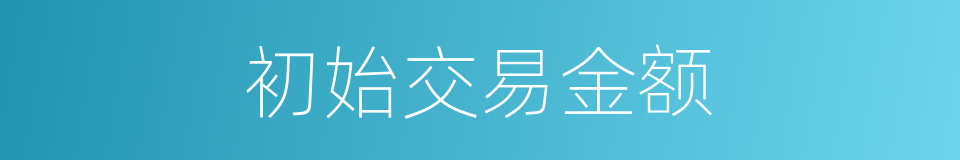 初始交易金额的同义词