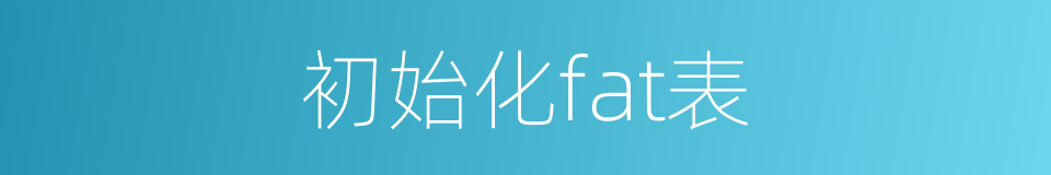 初始化fat表的同义词