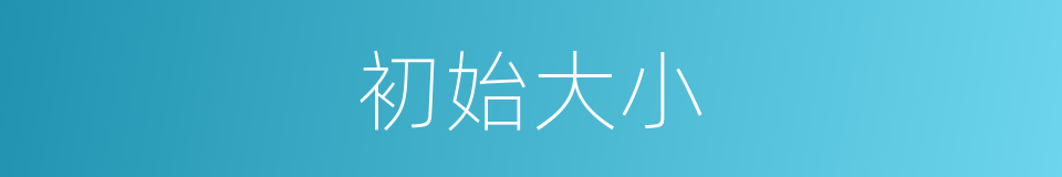 初始大小的同义词