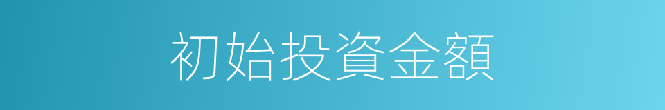 初始投資金額的同義詞