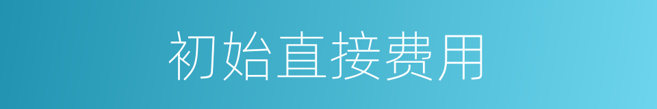 初始直接费用的同义词