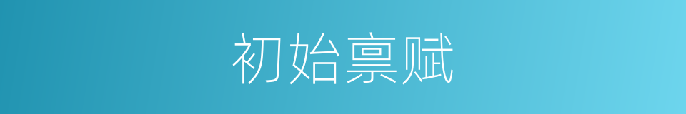 初始禀赋的同义词