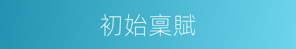 初始稟賦的同義詞