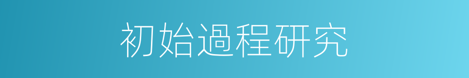 初始過程研究的同義詞