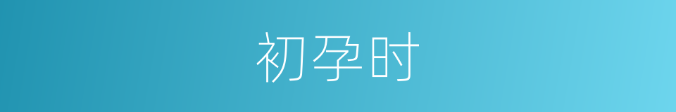 初孕时的同义词