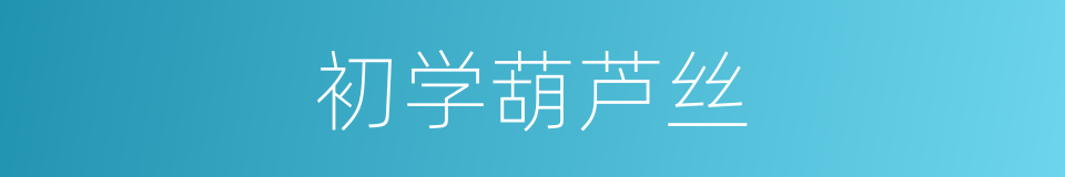 初学葫芦丝的同义词