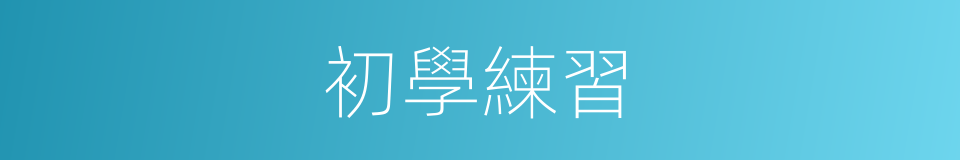 初學練習的同義詞