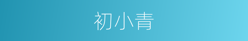 初小青的同义词