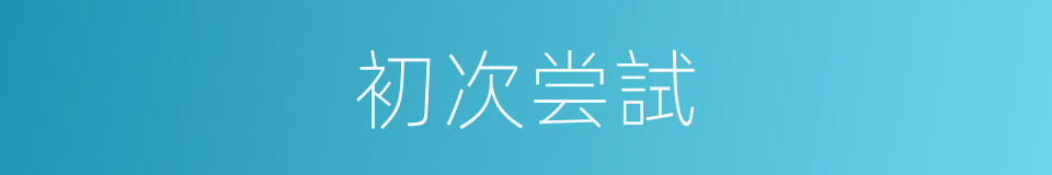 初次尝試的同義詞