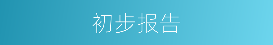 初步报告的同义词