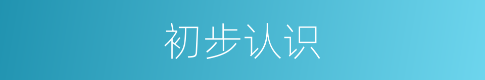 初步认识的同义词