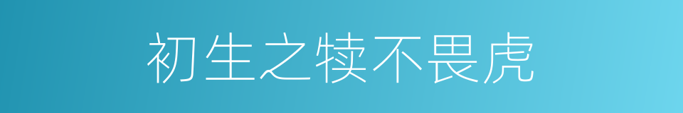 初生之犊不畏虎的意思
