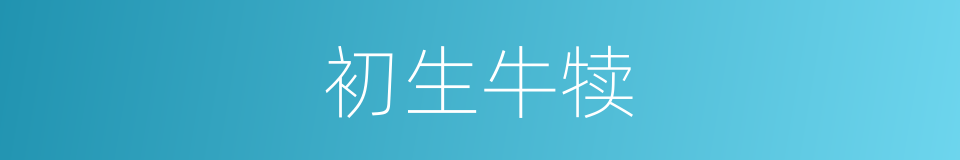 初生牛犊的意思