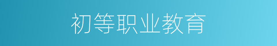 初等职业教育的同义词