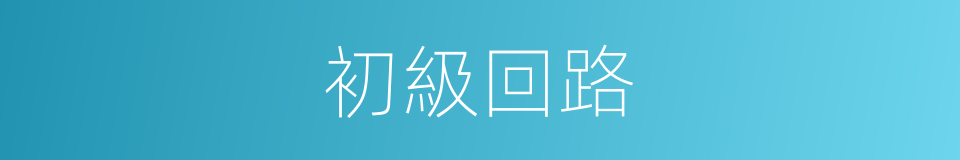初級回路的同義詞