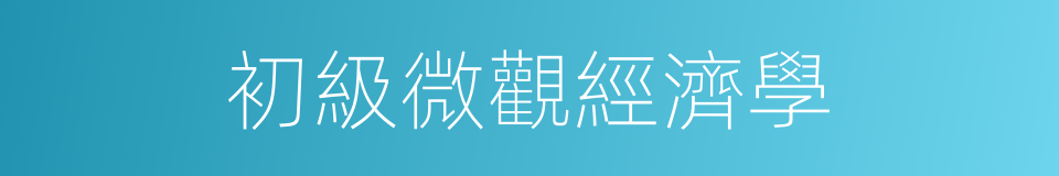 初級微觀經濟學的同義詞