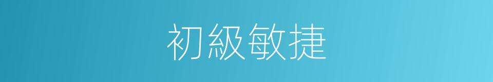 初級敏捷的同義詞