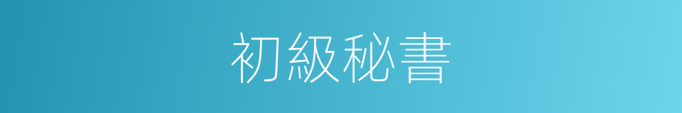 初級秘書的同義詞