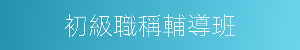 初級職稱輔導班的同義詞