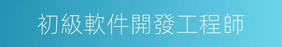 初級軟件開發工程師的同義詞