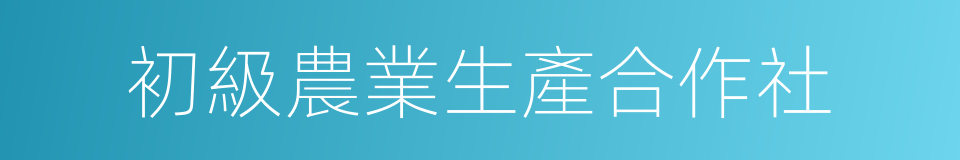 初級農業生產合作社的同義詞