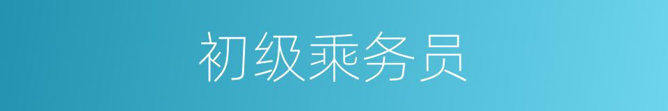 初级乘务员的同义词