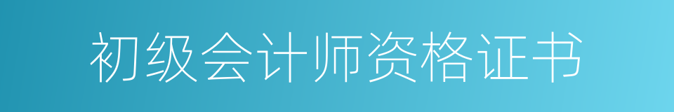 初级会计师资格证书的同义词