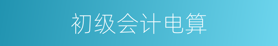 初级会计电算的同义词