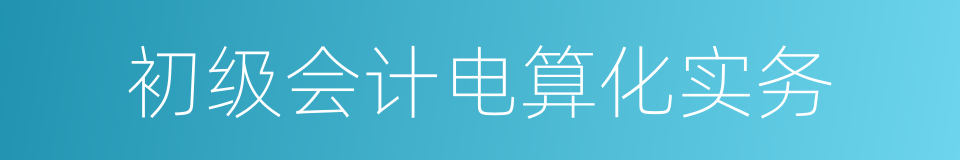 初级会计电算化实务的同义词