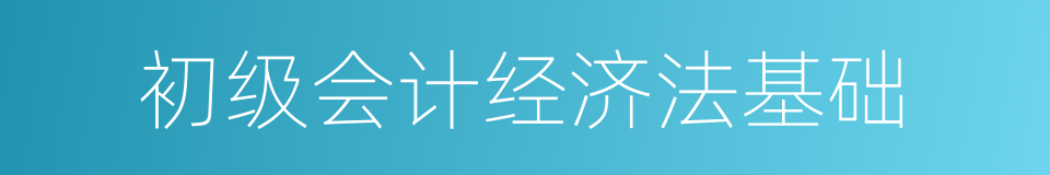 初级会计经济法基础的同义词