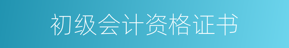 初级会计资格证书的同义词