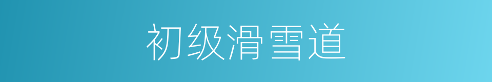 初级滑雪道的同义词