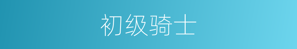 初级骑士的同义词