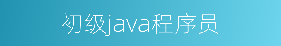 初级java程序员的同义词