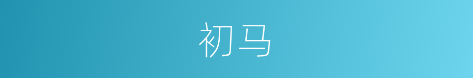 初马的同义词