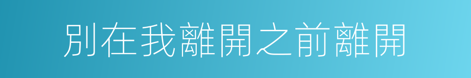 別在我離開之前離開的同義詞