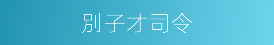 別子才司令的同義詞