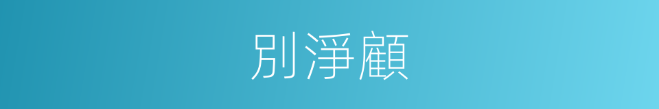 別淨顧的同義詞