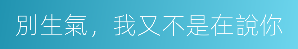 別生氣，我又不是在說你的同義詞