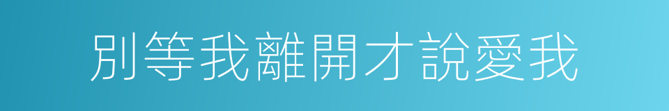 別等我離開才說愛我的同義詞