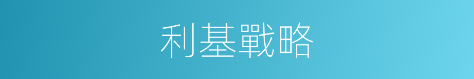 利基戰略的意思