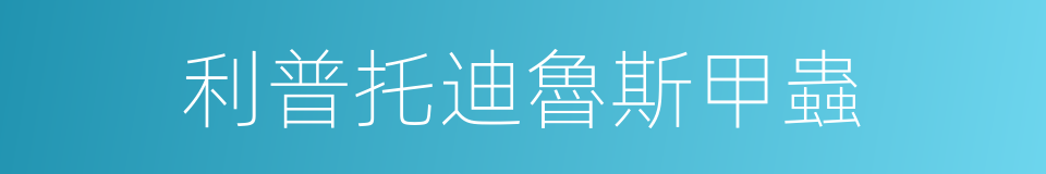 利普托迪魯斯甲蟲的同義詞