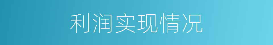 利润实现情况的同义词