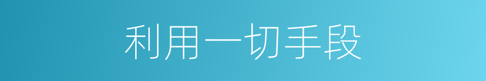 利用一切手段的同义词